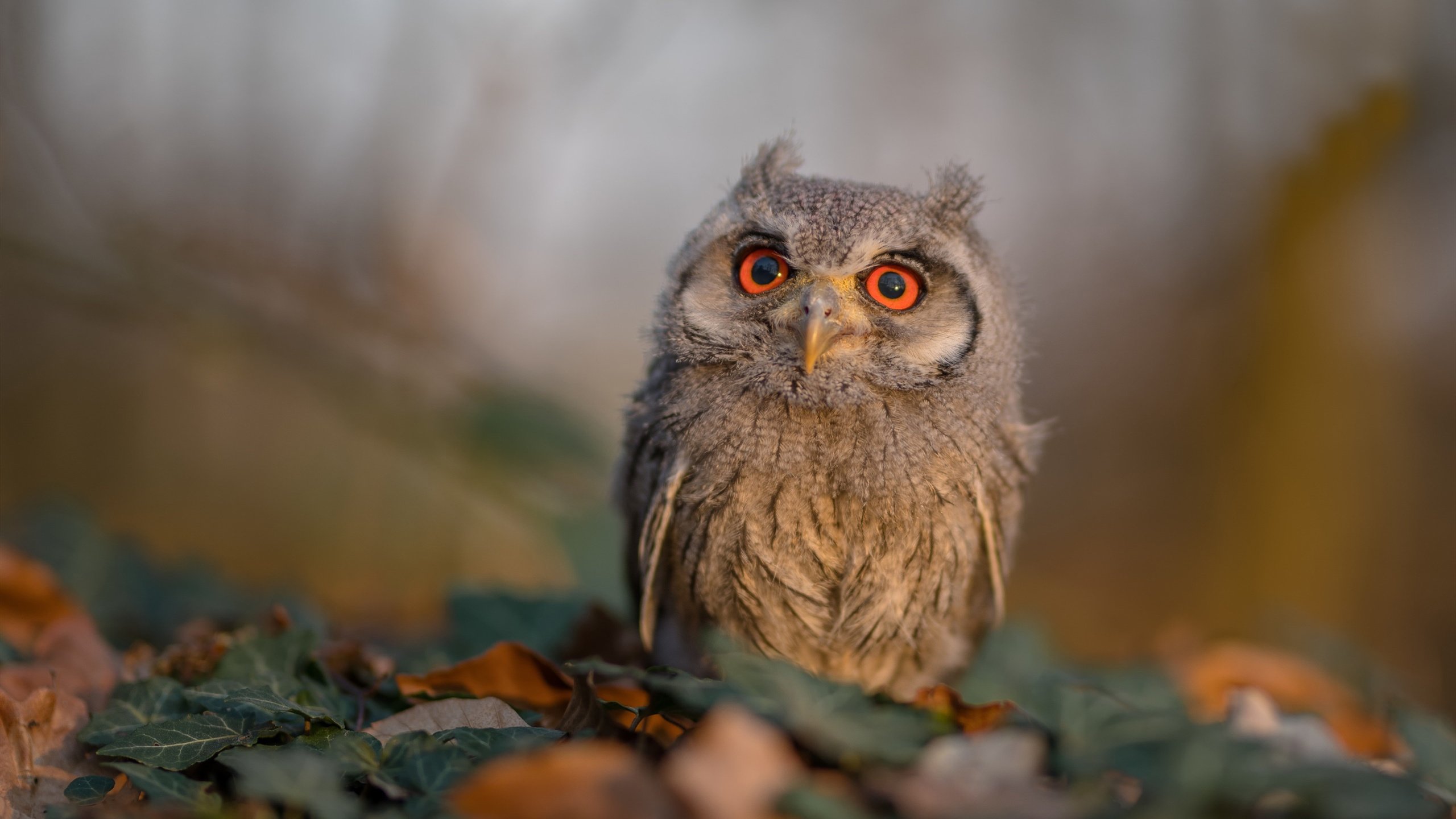 751.“青春启航”青少年篮球体验营在武汉拉开帷幕，推动全民健身