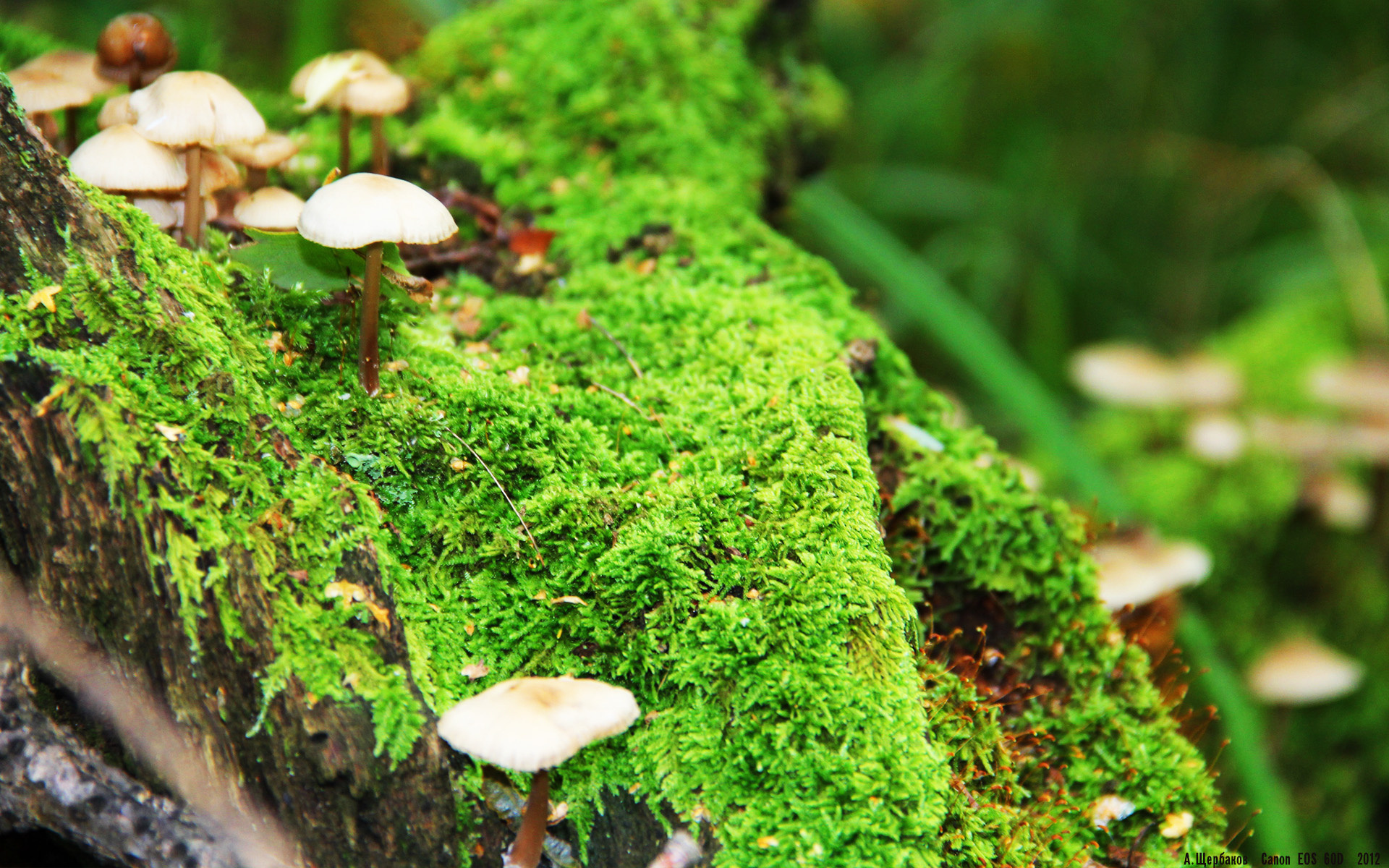 _逆境中崛起!魔术逆转胜利迎来转折点_,2021年魔术视频