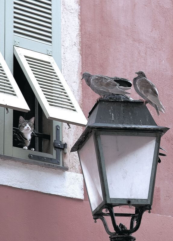 “德甲火药味十足,争冠集团逐渐成形”,争冠组赛程