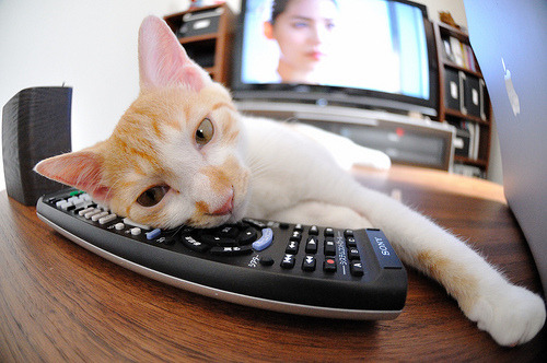 爱游戏娱乐平台-“意甲新势力崭露头角，年轻球员引发热议”，意甲最年轻进球