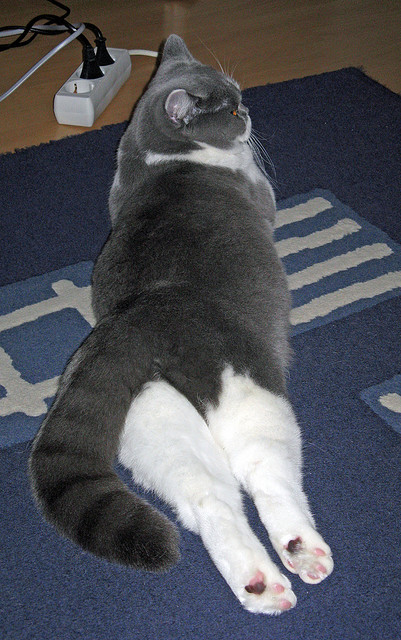 爱游戏体育app-“英超跌宕起伏，比赛结果难以预料”，英超赛程集锦