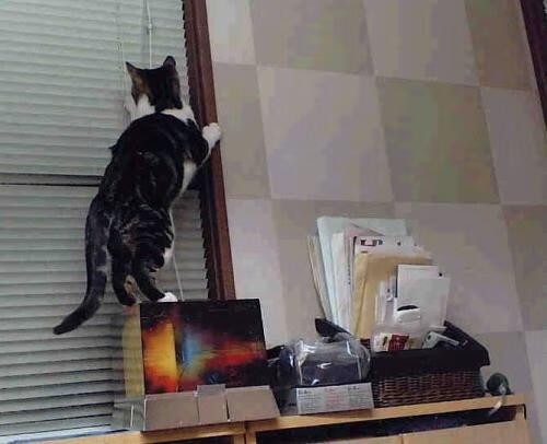 “英超迎来终章倒计时,战局扑朔迷离”,英超收官战