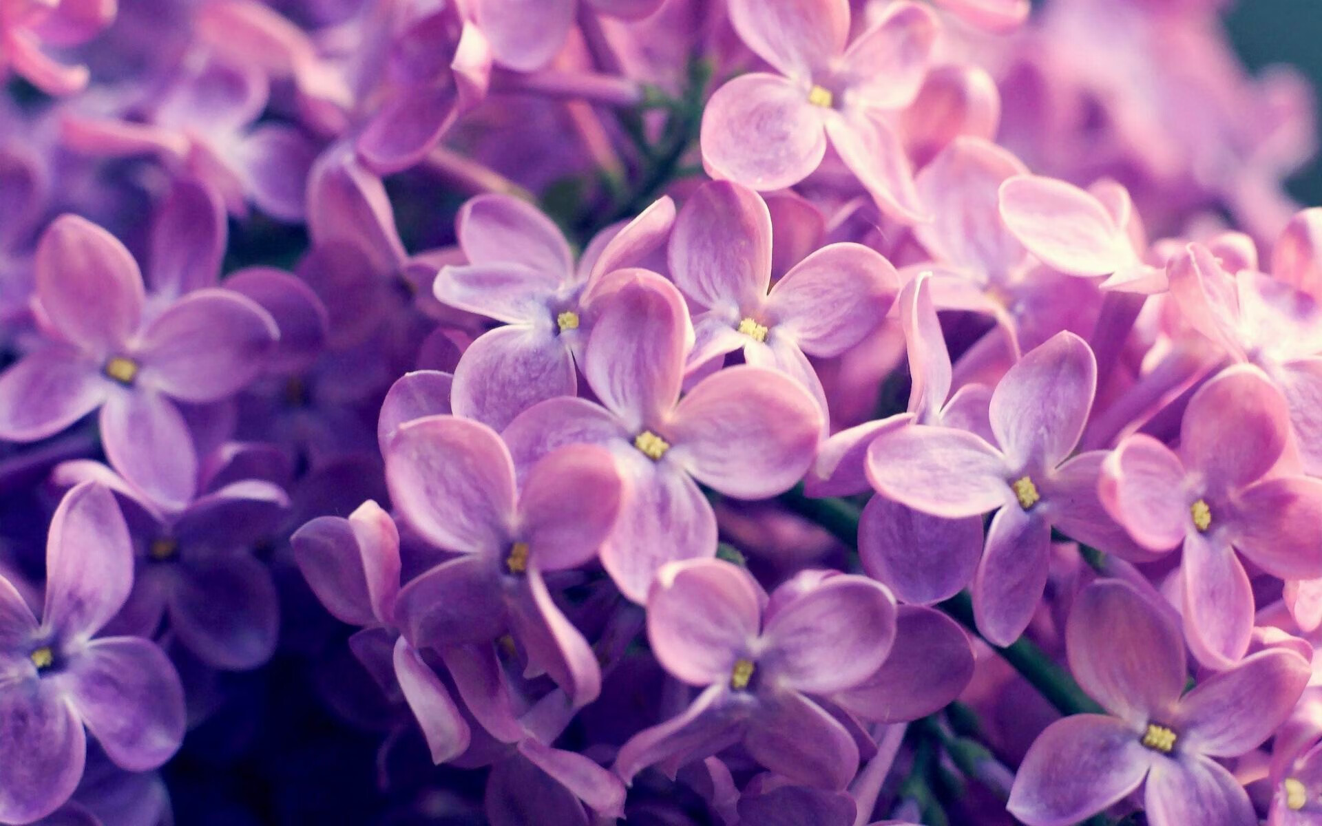 中超新政实施：引援限薪，鼓励青训出头，中超引援限制