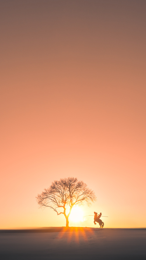 德甲联赛潜力新秀频频爆发,德甲潜力新星最佳阵容