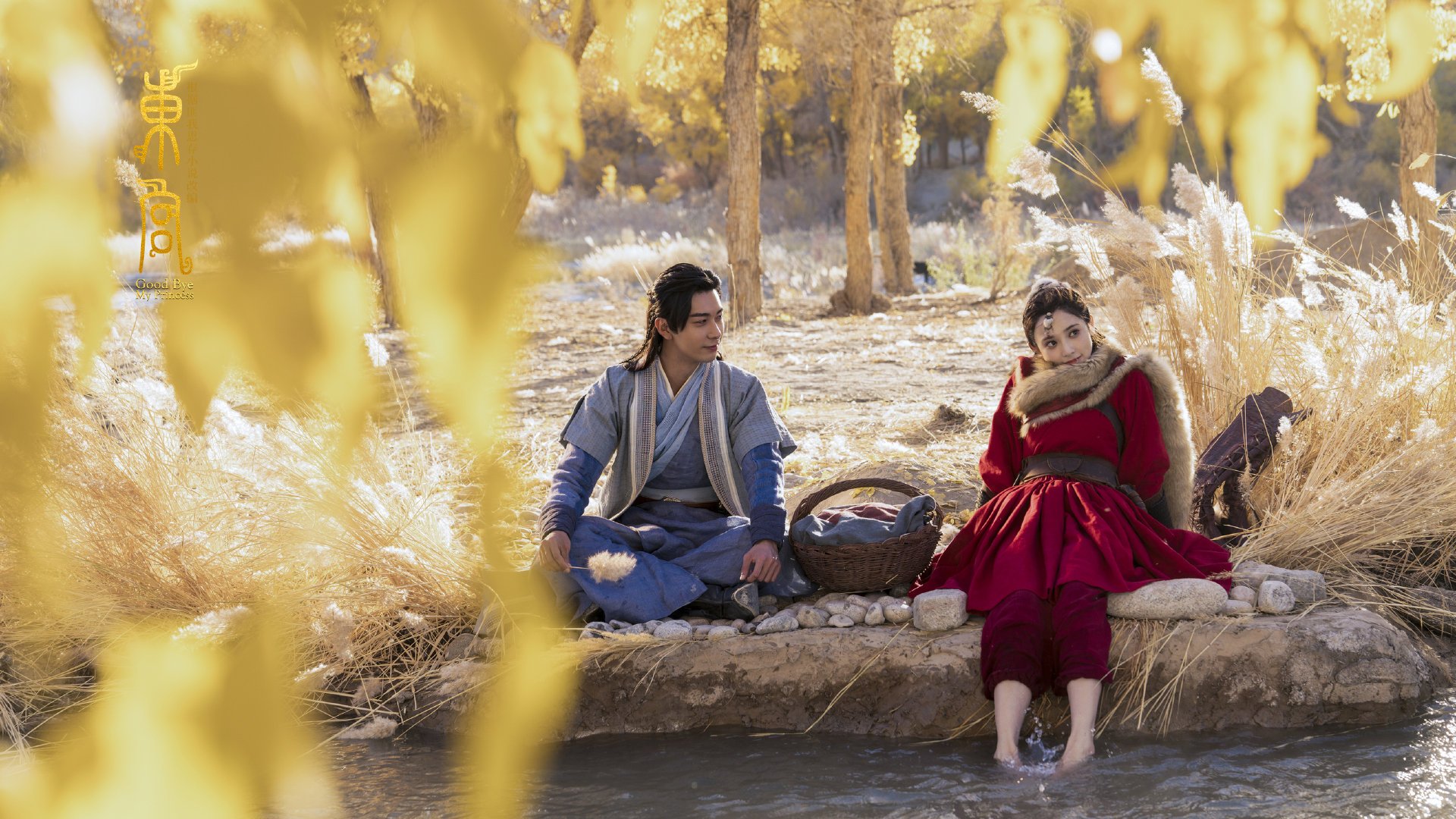 爱游戏体育APP下载-德甲著名教练换帅，战术调整引关注，德甲球员撞教练