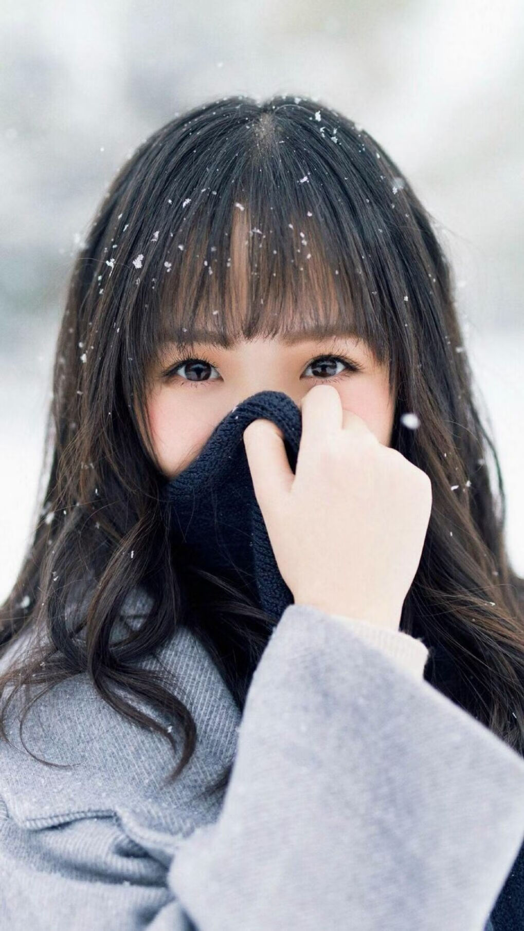 明星梦之队:最强阵容的组建与战略解析,梦之队大名单