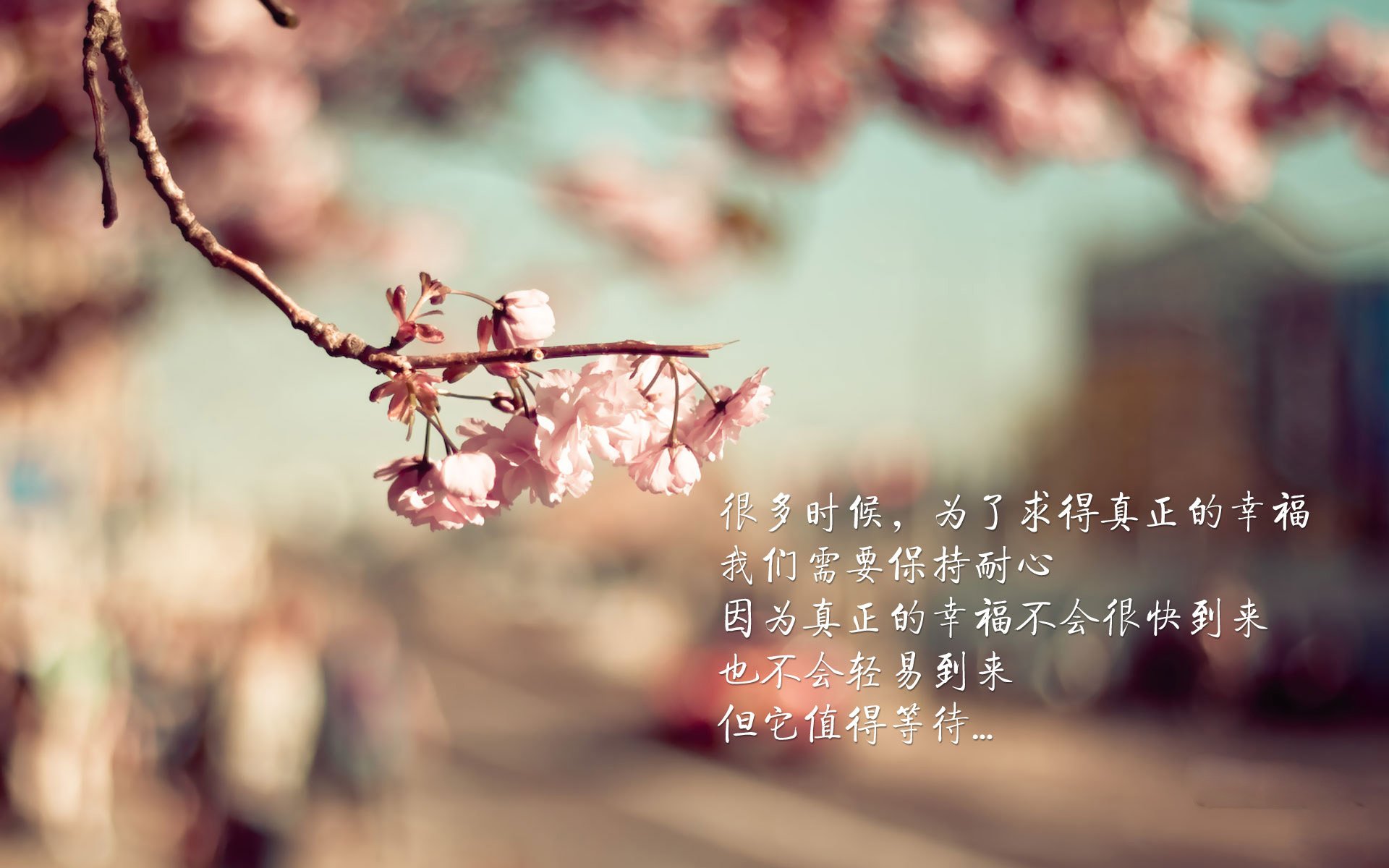 篮球训练视频教学平台内容持续丰富，篮球训练视频教学平台内容持续丰富怎么办