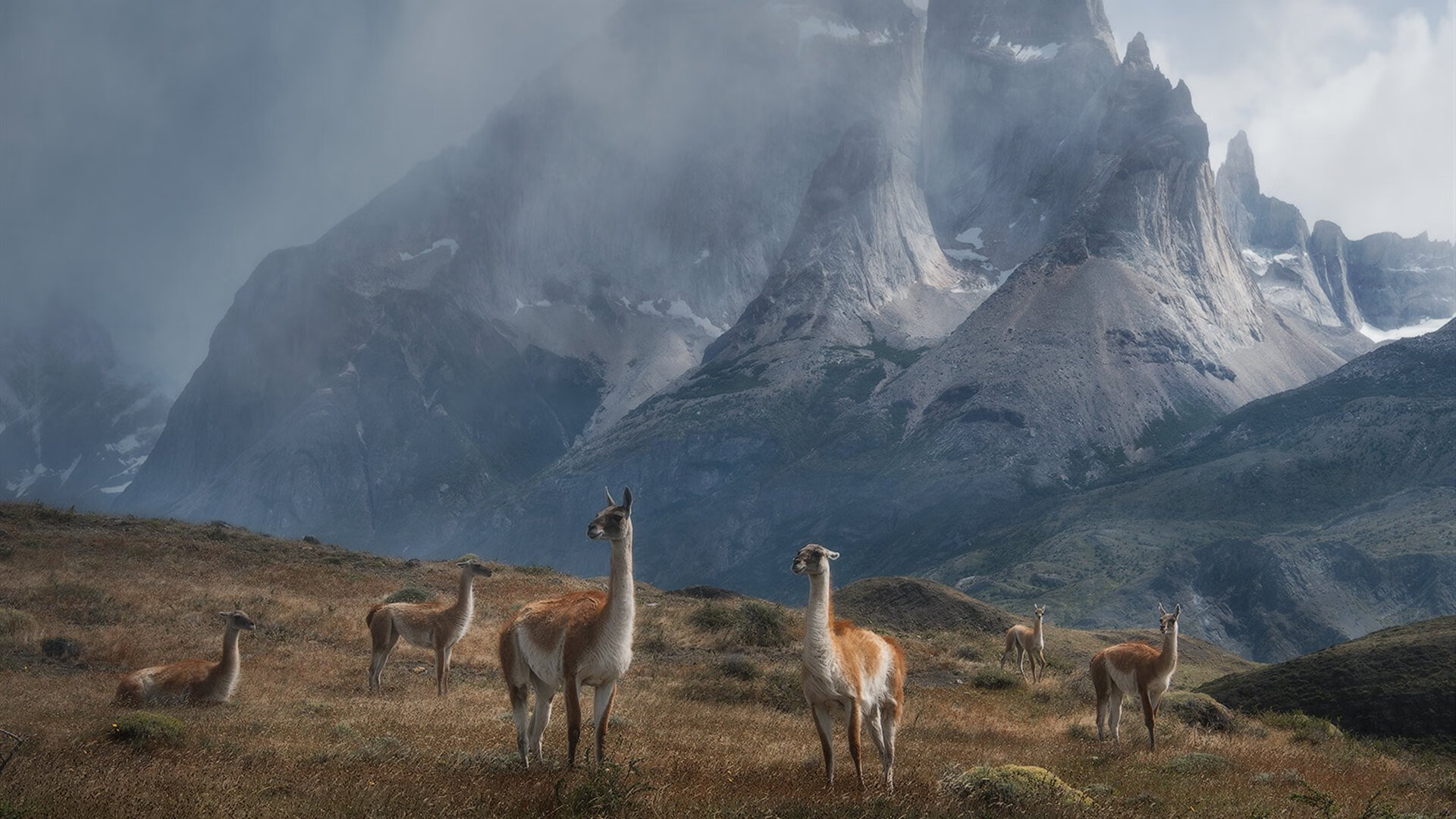 赛季末期,哪些球队跻身季后赛?,季后赛球队排名