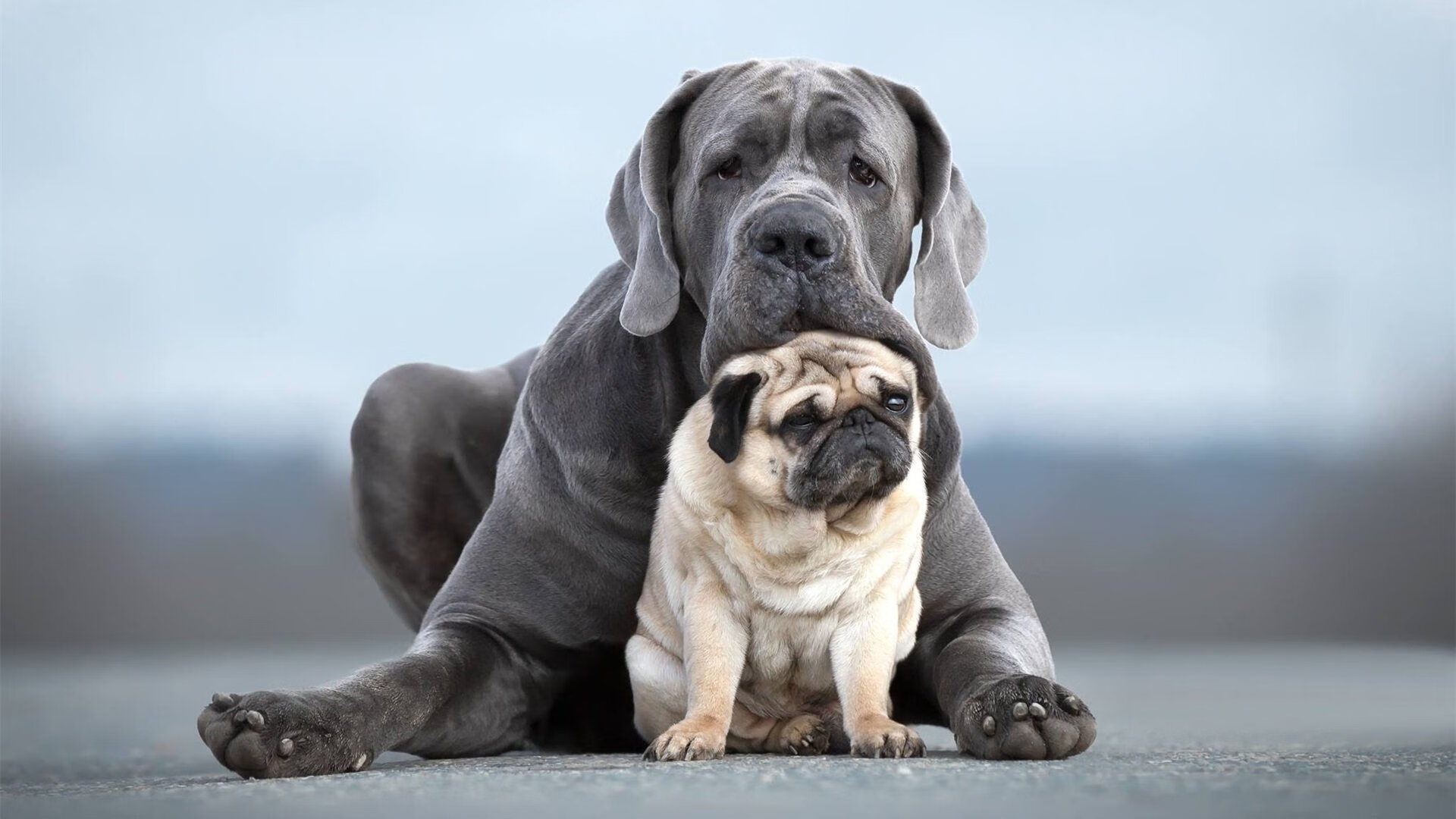 爱游戏官方网站-高校足球联盟赛精彩纷呈，人才辈出，高校足球联赛历届排行