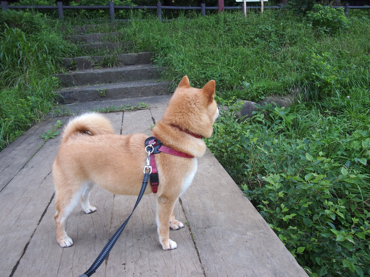 爱游戏体育官方网站-年轻中卫是否能应对联赛节奏变化挑战，年轻中卫排名