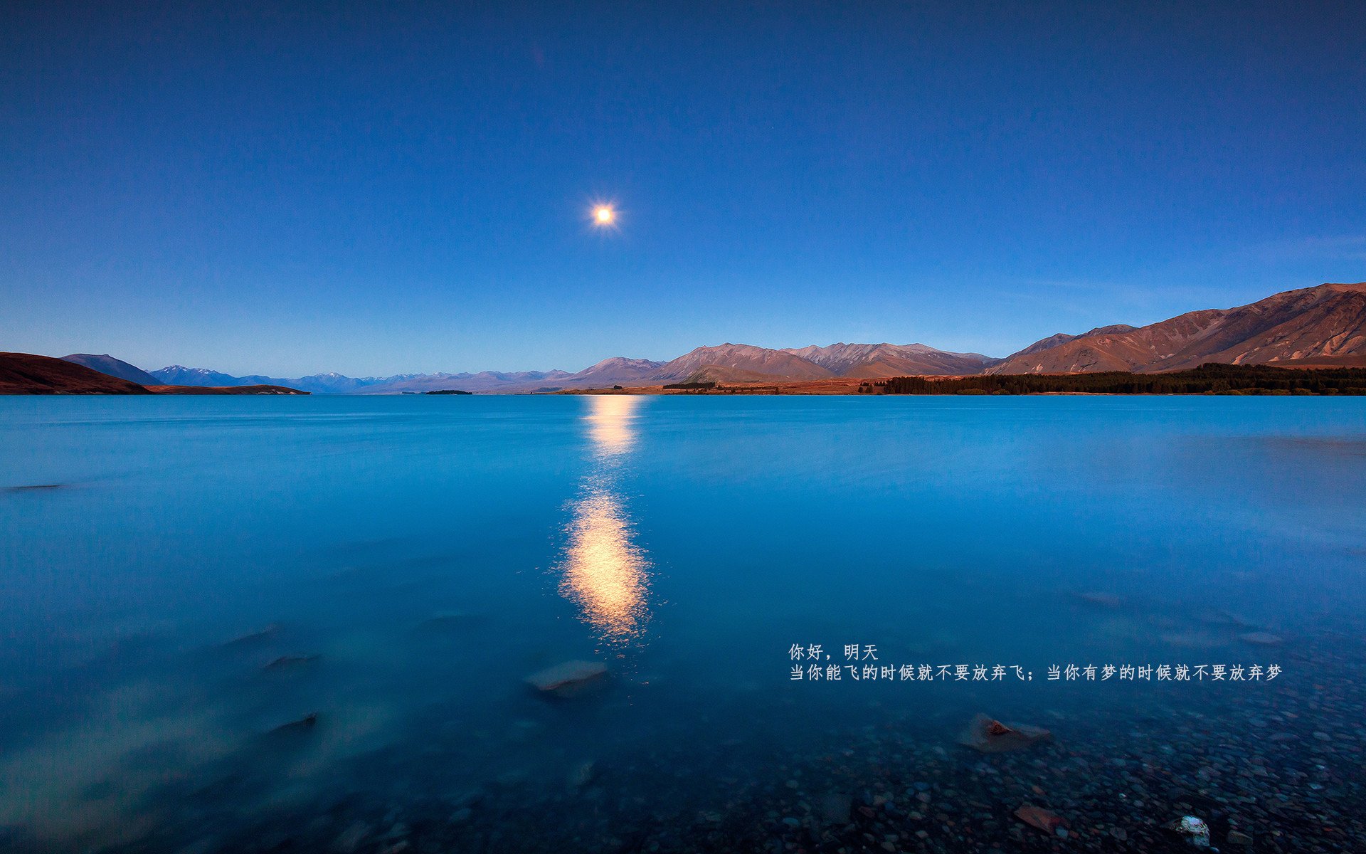 法国队止步欧洲杯八强，德尚面临下课压力，法国德国欧洲杯集锦