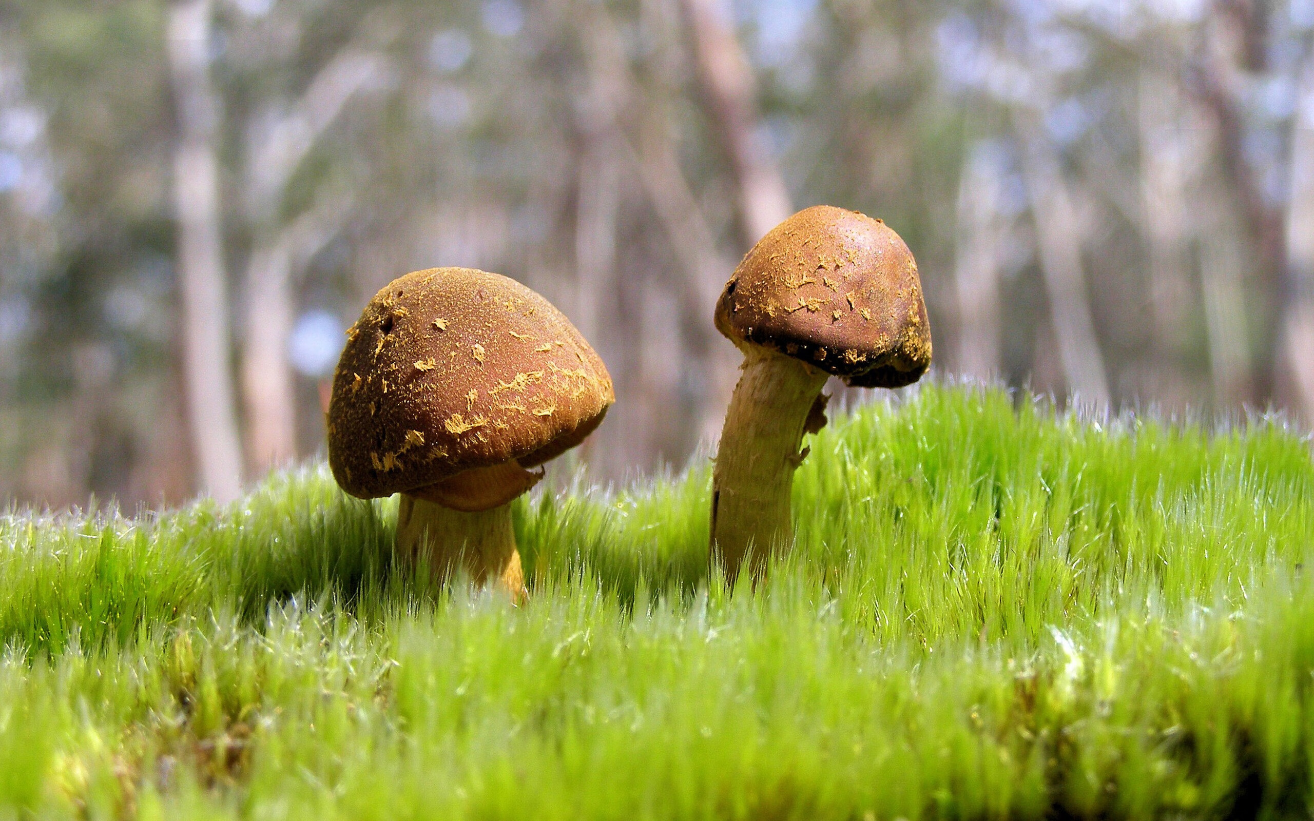 爱游戏app下载-俱乐部忽视青训品牌价值传播，充分利用俱乐部的青训系统培养球员