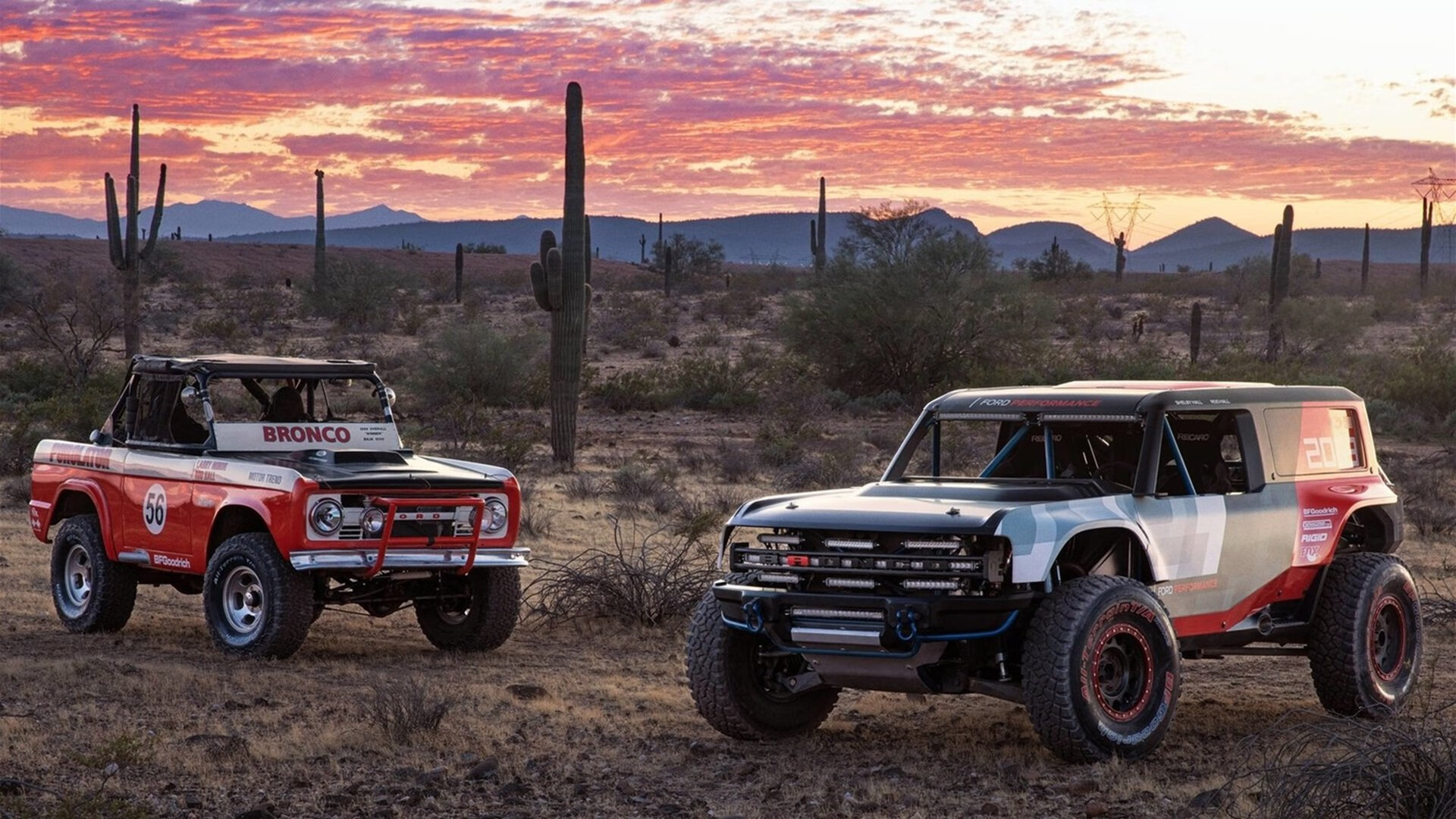 城市篮球IP建设计划启动结合球员粉丝与本地文化发展,十大篮球城市