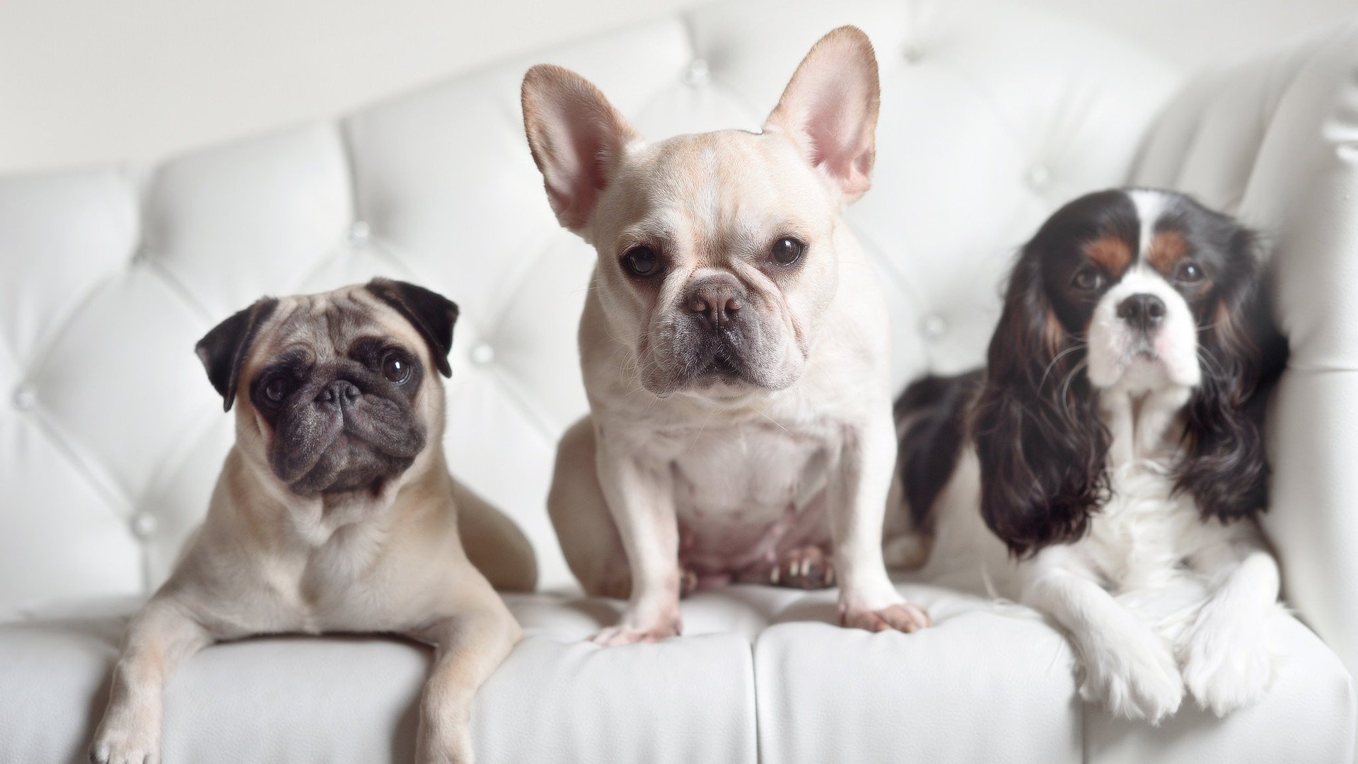 爱游戏体育（AYX）官方APP下载-尼尔·巴特尔的防守技巧，助袋鼠队坚固防线，尼尔巴雷特衣服