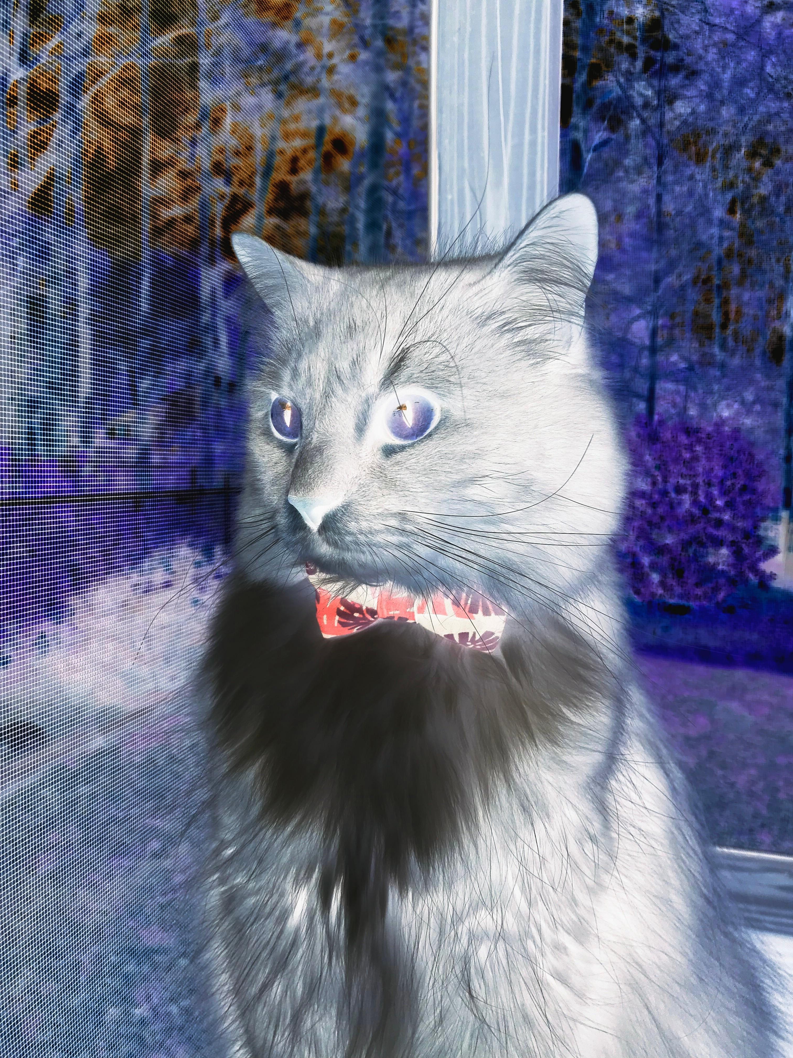 AIYOUXI.COM-艾比·德尔福：展现出高水平的防守技巧，南非队迎接每次挑战，艾比德什么意思