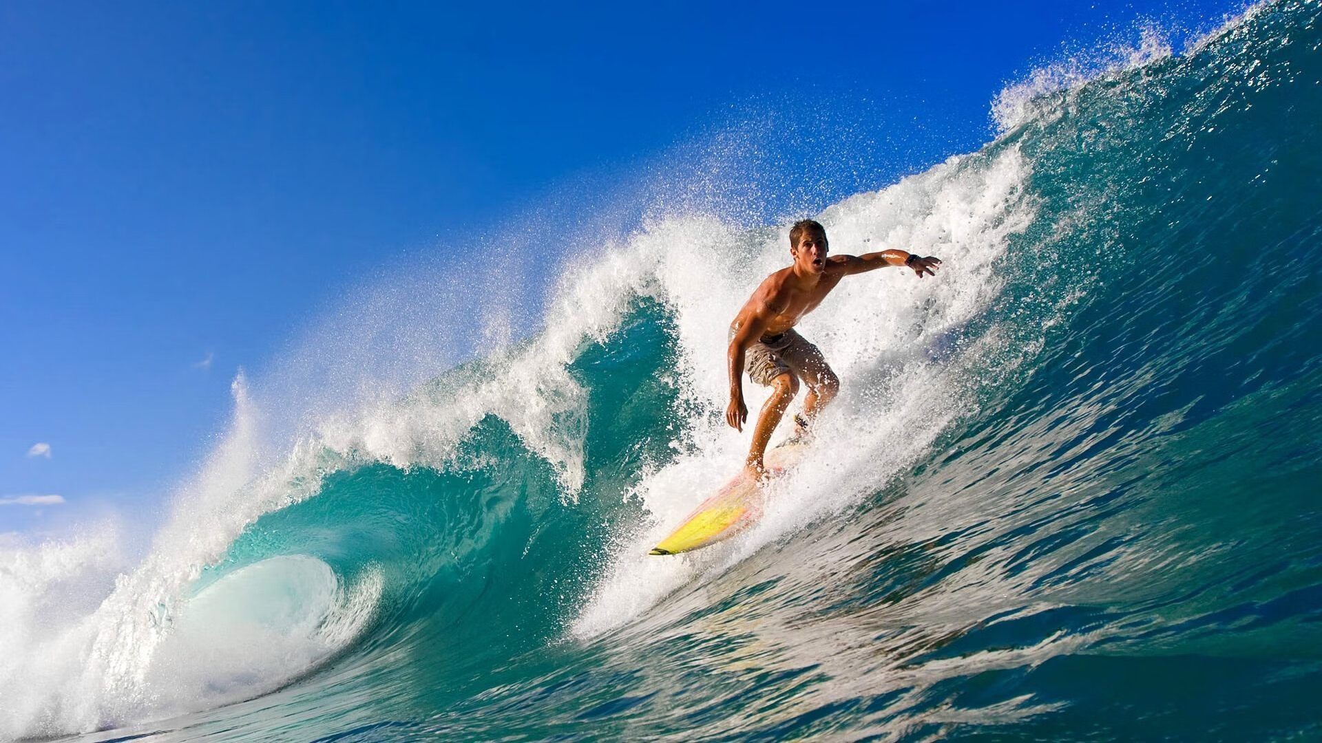 爱游戏体育账号注册-【冠军之路】马克·塞尔比：从逆境中崛起的坚韧精神，马克塞尔比的人生经历